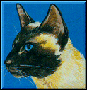 Image Name